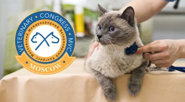 Конференция по актуальным вопросам ветеринарной медицины мелких домашних животных