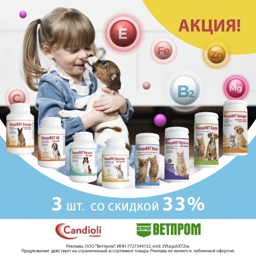АКЦИЯ НА КАНДИВИТ